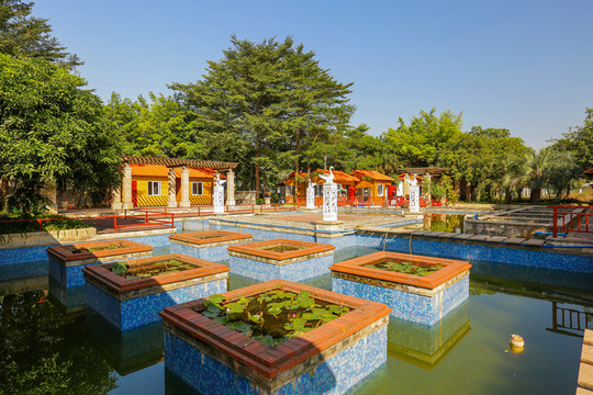 生態(tài)養(yǎng)殖場 魚塘 農(nóng)家樂