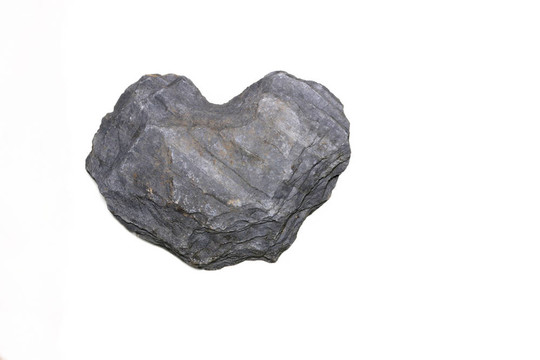 Stone的心臟