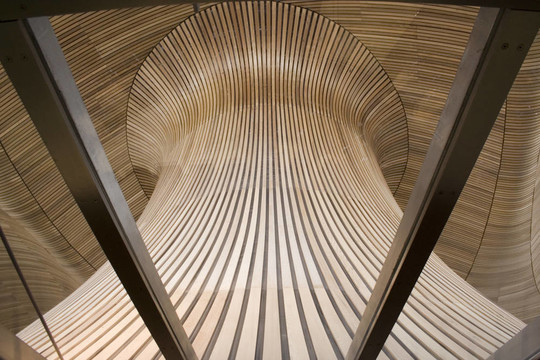 威爾士議會屋頂