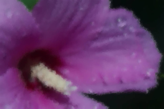 甜蜜的火箭油漆