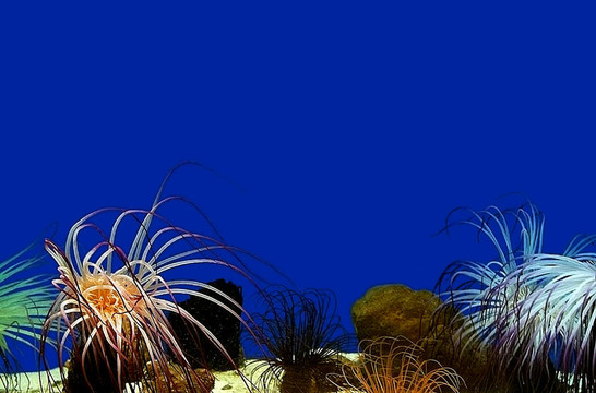 水族館