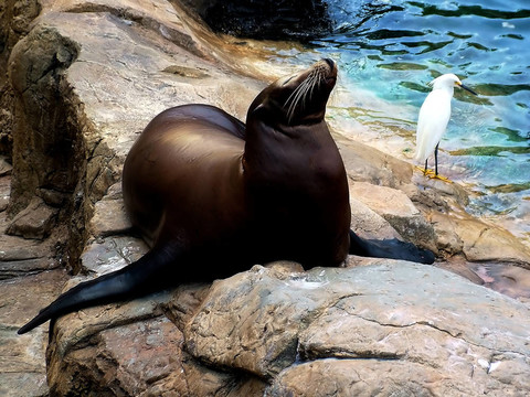 日光浴