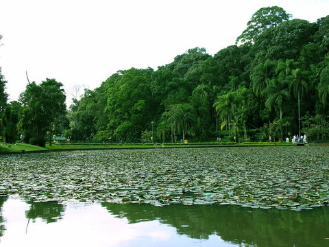 公園2