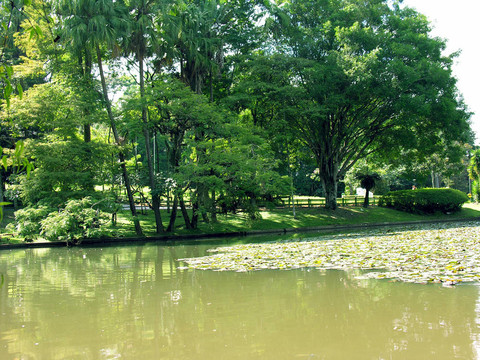 公園2