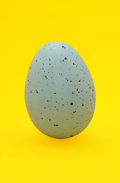 雞蛋