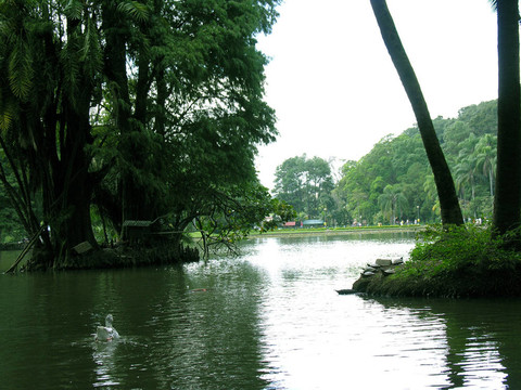 公園的場景