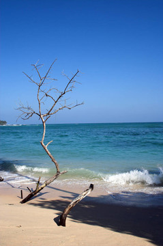 海灘
