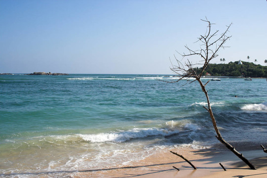 海灘
