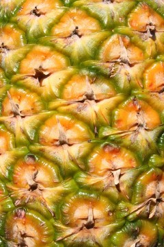 菠蘿摘要