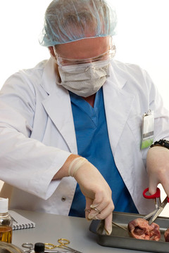 外科醫(yī)生或doctorr與腎