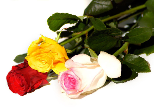 Flowers 45