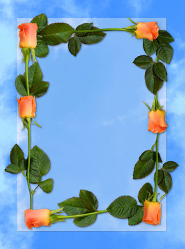 薔薇架5a
