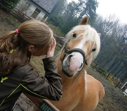 女孩和馬