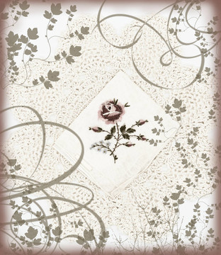 繡花蕾絲