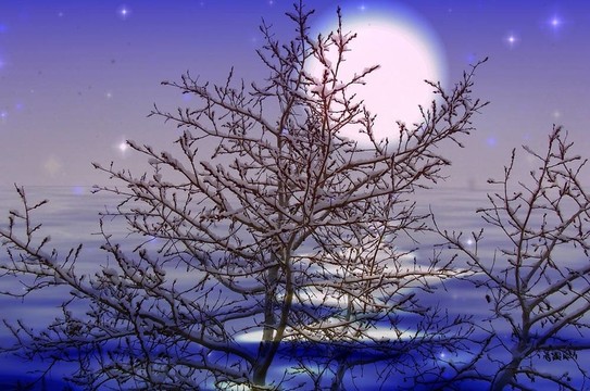 Moon雪