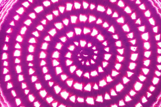 粉紅色的迷幻的糧倉