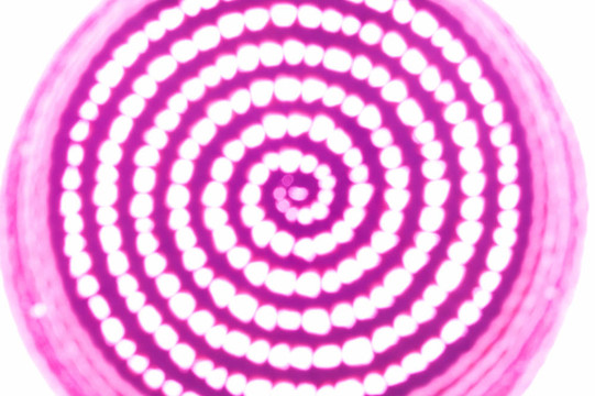 紫色PSYCHODELIC糧倉