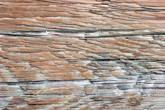 風(fēng)化的Wood