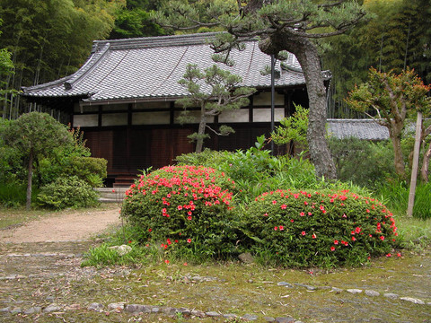質(zhì)樸的日本庭院