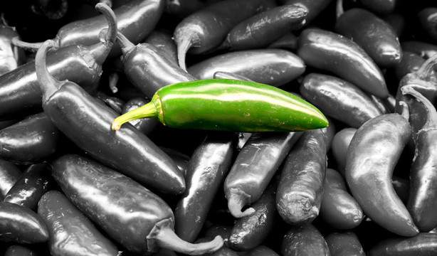 蔬菜- Jalapeno Pepper分離