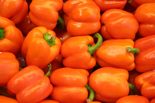 蔬菜- Orange Bell Pepper