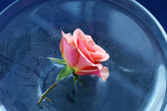 水漲浮