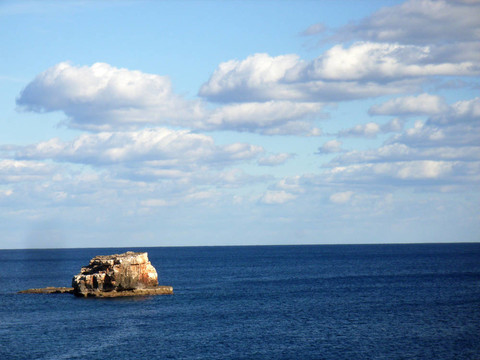 胰島