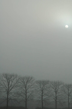 Fog1