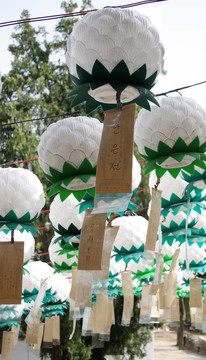 如來(lái)佛祖的生日
