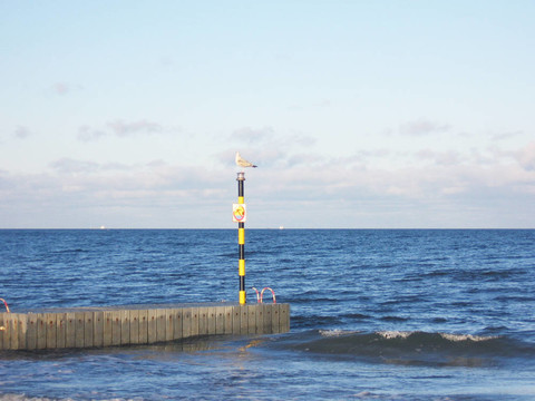 海鷗上極