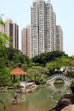 在香港的公園