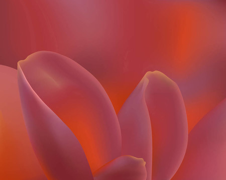 粉紅色的花瓣