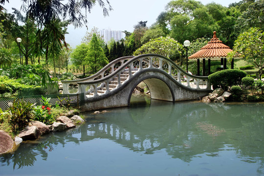 在香港的公園