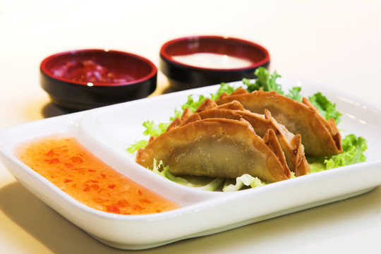 豬肉雞肉餃子