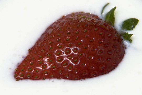 Strawberry在開菲爾