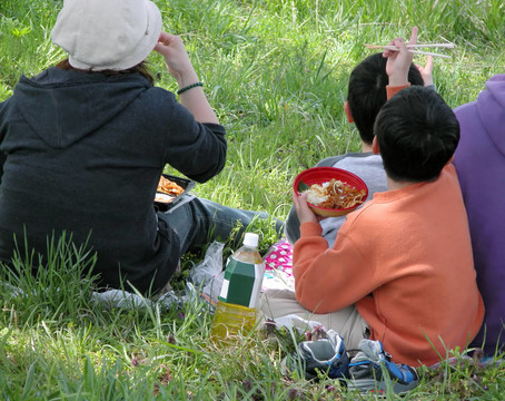 家庭野餐