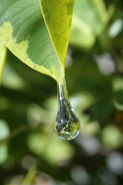 水滴