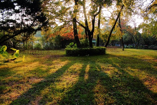 夕陽秋色