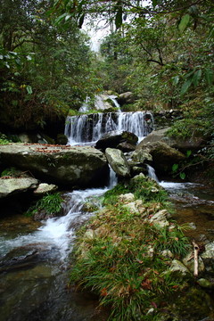 山泉水