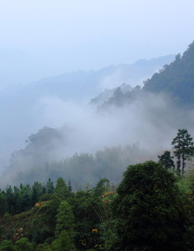 高山云霧