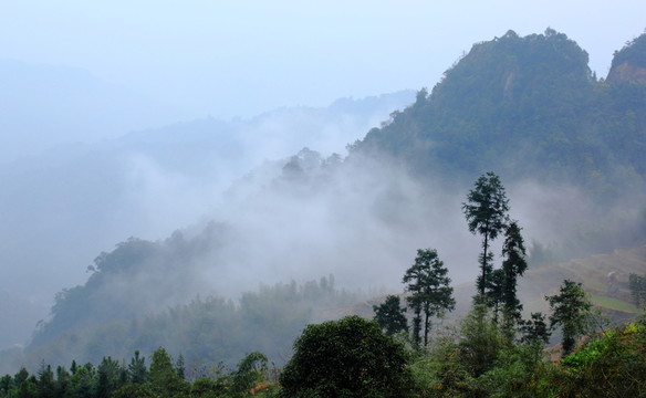 高山云霧