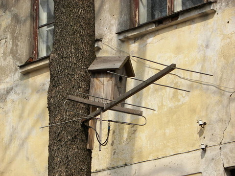 Starling的電視