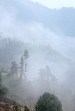 高山云霧