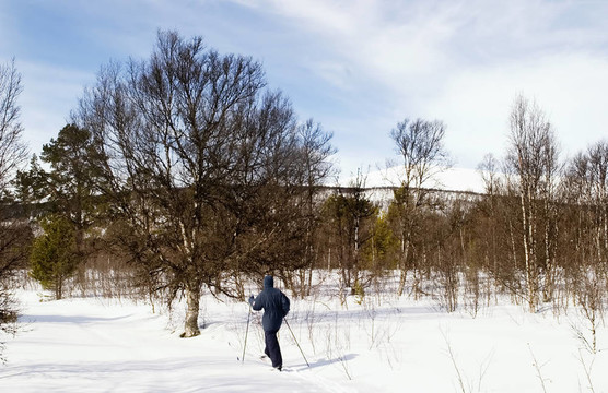 越野滑雪