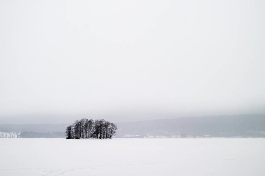 Frozen Lake與樹
