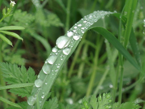 雨后