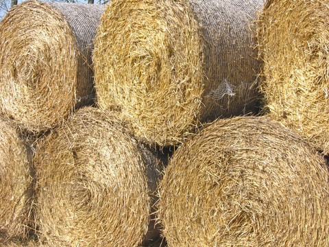 束straw.jpg