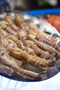 蝦菇