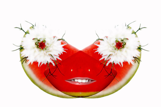 兩片西瓜在白色背景上花?？谡f?；?。