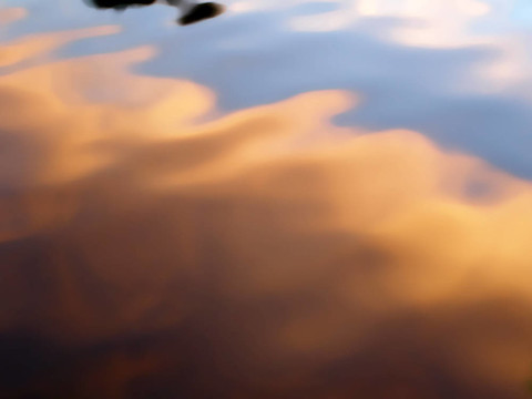 夕陽反射